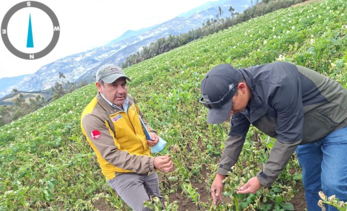 Daños por intensas heladas en Huancabamba son evaluados por el GORE Piura