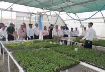 Centro agrícola tecnificado fue activado para apoyar a productores piuranos Centro agrícola tecnificado fue activado para apoyar a productores piuranos