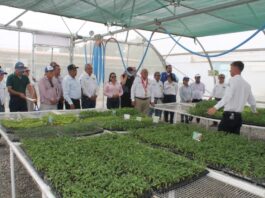 Centro agrícola tecnificado fue activado para apoyar a productores piuranos Centro agrícola tecnificado fue activado para apoyar a productores piuranos