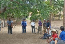 Productores reciben capacitación en poda técnica en plantación agroforestal de Morropón Productores reciben capacitación en poda técnica en plantación agroforestal de Morropón