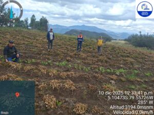 Daños por intensas heladas en Huancabamba son evaluados por el GORE Piura