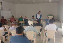 Mesa Técnica del Mango en Piura evalúa su formalización jurídica Mesa Técnica del Mango en Piura evalúa su formalización jurídica