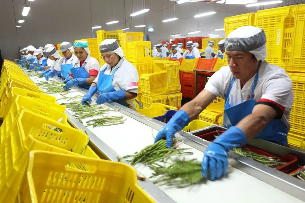 Exportaciones agroindustriales del Perú superarían los US$ 15,000 millones en 2025