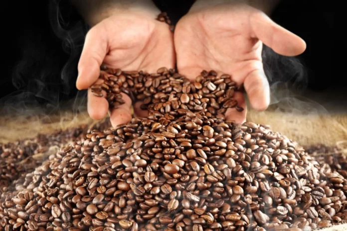 Exportaciones de café peruano alcanzarían récord histórico en 2025