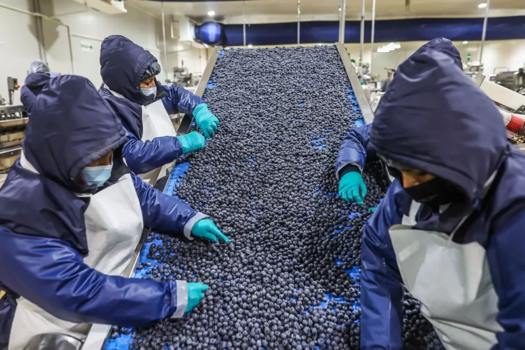Perú busca abrir 16 nuevos mercados para sus productos agroexportadores en 2026