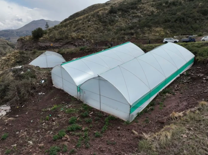 Cusco refuerza la protección de la producción agropecuaria ante lluvias, heladas y granizo Cusco refuerza la protección de la producción agropecuaria ante lluvias, heladas y granizo