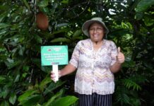 MIDAGRI activa Seguro Agrícola 2025-2026 para atender cultivos afectados por lluvias intensas MIDAGRI activa Seguro Agrícola 2025-2026 para atender cultivos afectados por lluvias intensas