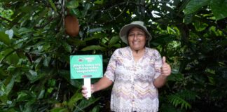 MIDAGRI activa Seguro Agrícola 2025-2026 para atender cultivos afectados por lluvias intensas MIDAGRI activa Seguro Agrícola 2025-2026 para atender cultivos afectados por lluvias intensas