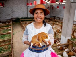 MIDAGRI destina S/ 10 millones para emprendimientos de la mujer rural e indígena MIDAGRI destina S/ 10 millones para emprendimientos de la mujer rural e indígena