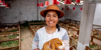 MIDAGRI destina S/ 10 millones para emprendimientos de la mujer rural e indígena MIDAGRI destina S/ 10 millones para emprendimientos de la mujer rural e indígena