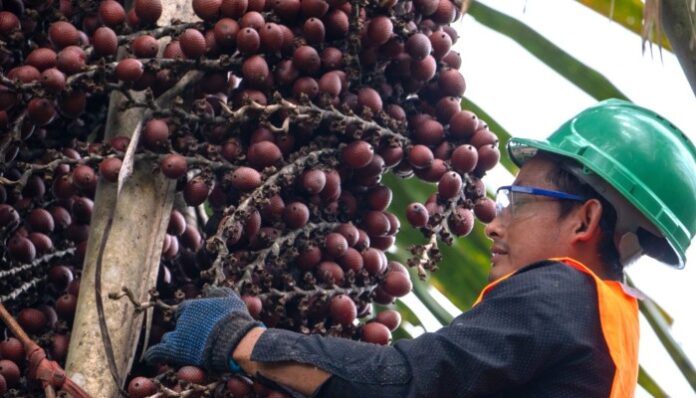 Estado refuerza la conservación de los bosques y humedales amazónicos con apoyo de Japón