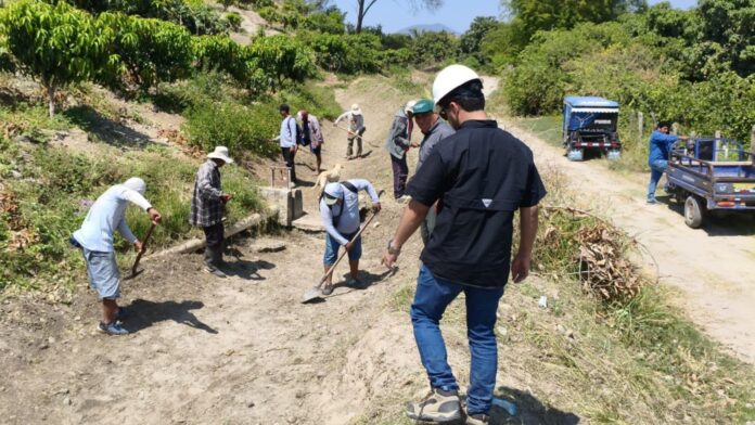 Diseño sin título (35)