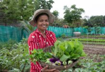 FAO declara 2026 Año Internacional de la Agricultora