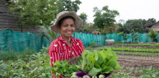 FAO declara 2026 Año Internacional de la Agricultora