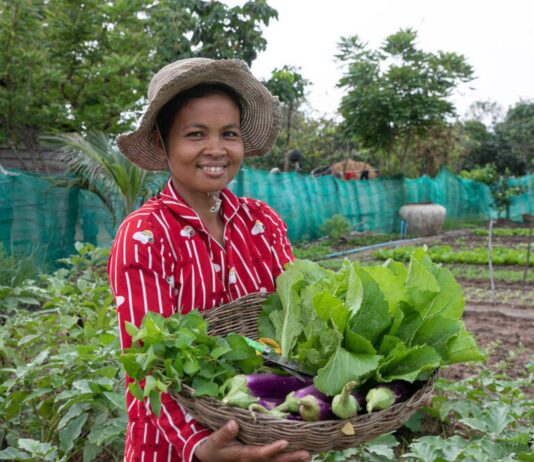 FAO declara 2026 Año Internacional de la Agricultora