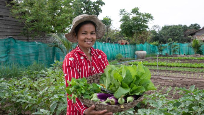 Diseño sin título (41)