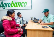 Agrobanco desembolsó 127 mil créditos agrarios y fortaleció la inclusión financiera rural en 2025 Agrobanco desembolsó 127 mil créditos agrarios y fortaleció la inclusión financiera rural en 2025