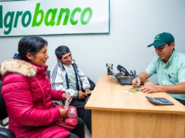 Agrobanco desembolsó 127 mil créditos agrarios y fortaleció la inclusión financiera rural en 2025 Agrobanco desembolsó 127 mil créditos agrarios y fortaleció la inclusión financiera rural en 2025