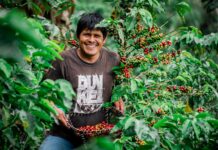 Agroexportaciones peruanas superan los US$ 13,300 millones impulsadas por frutas y hortalizas Agroexportaciones peruanas superan los US$ 13,300 millones impulsadas por frutas y hortalizas