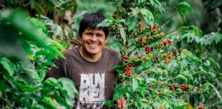 Agroexportaciones peruanas superan los US$ 13,300 millones impulsadas por frutas y hortalizas Agroexportaciones peruanas superan los US$ 13,300 millones impulsadas por frutas y hortalizas