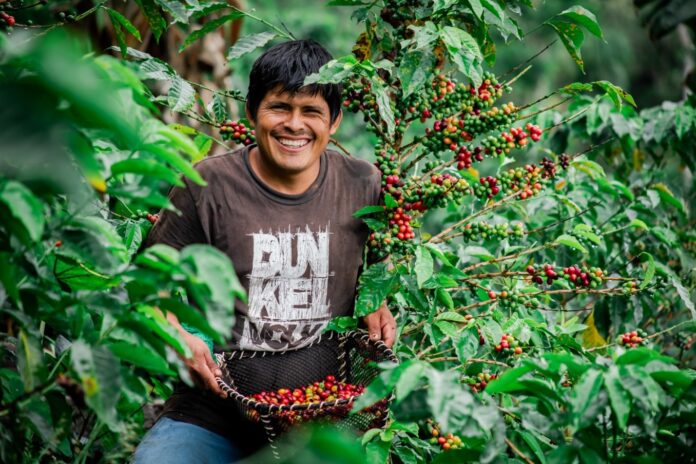 Agroexportaciones peruanas superan los US$ 13,300 millones impulsadas por frutas y hortalizas