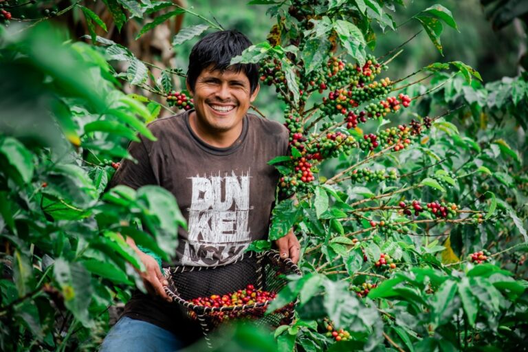 Agroexportaciones peruanas superan los US$ 13,300 millones impulsadas por frutas y hortalizas
