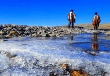 Clima impredecible pone en riesgo a pequeños productores agrícolas Clima impredecible pone en riesgo a pequeños productores agrícolas