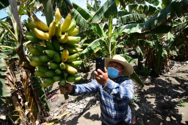 Más de 2 millones de agricultores ya están inscritos en el Padrón de Productores Agrarios