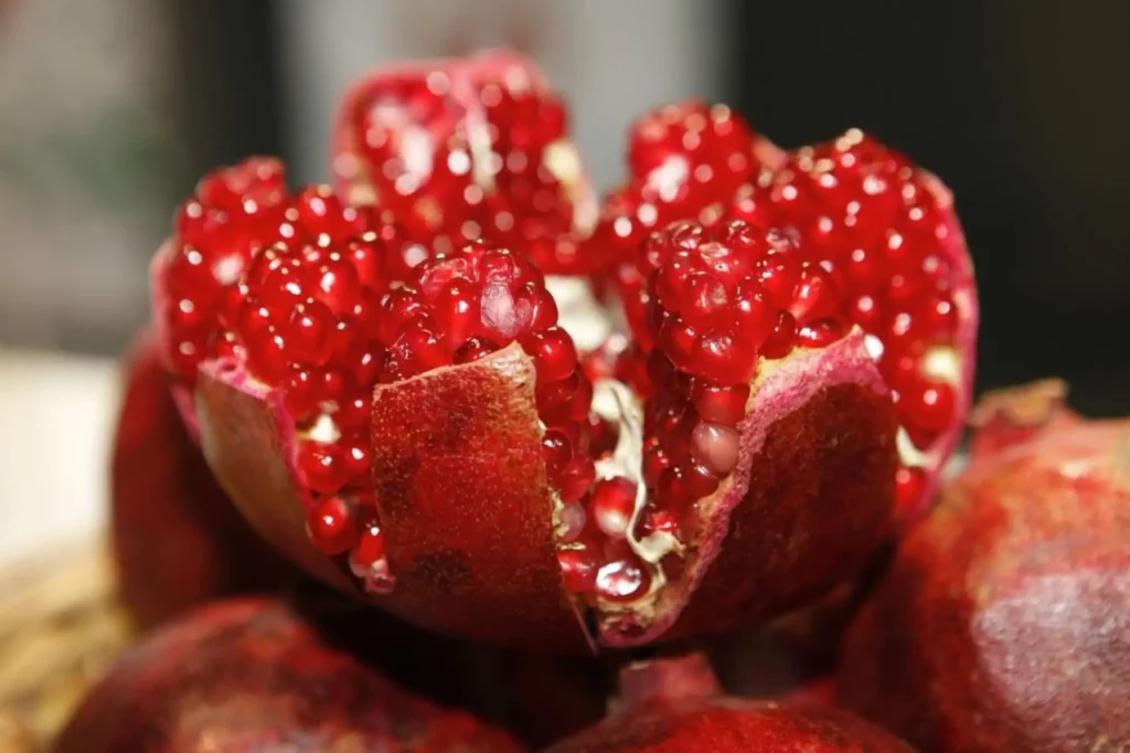 Agroexportaciones 2026: granada, cacao y berries apuntan a mayor crecimiento internacional
