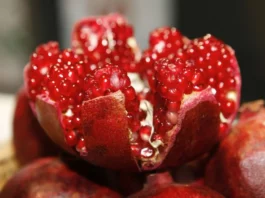 Agroexportaciones 2026: granada, cacao y berries apuntan a mayor crecimiento internacional Agroexportaciones 2026: granada, cacao y berries apuntan a mayor crecimiento internacional