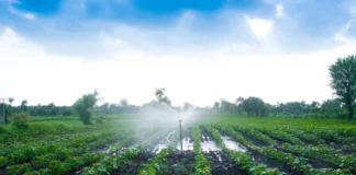 Midagri oficializa Plan de Economía Circular para el sector agrario al 2030 Midagri oficializa Plan de Economía Circular para el sector agrario al 2030