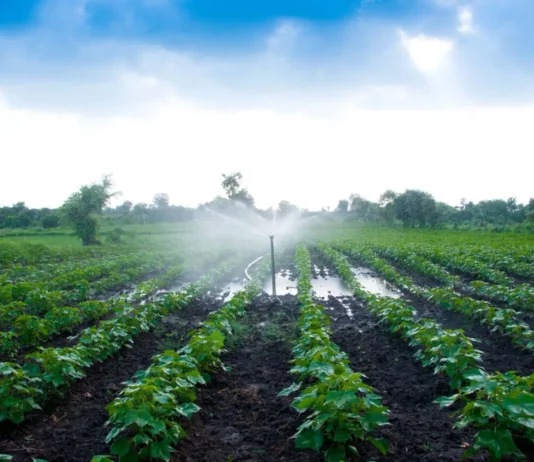 Midagri oficializa Plan de Economía Circular para el sector agrario al 2030 Midagri oficializa Plan de Economía Circular para el sector agrario al 2030