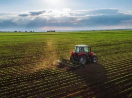 Midagri crea Mesa Técnica para elaborar la Hoja de Ruta de Finanzas Sostenibles del sector agrario Midagri crea Mesa Técnica para elaborar la Hoja de Ruta de Finanzas Sostenibles del sector agrario