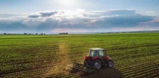 Midagri crea Mesa Técnica para elaborar la Hoja de Ruta de Finanzas Sostenibles del sector agrario Midagri crea Mesa Técnica para elaborar la Hoja de Ruta de Finanzas Sostenibles del sector agrario