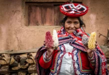 Cambio climático y agricultura familiar: el rol clave de las mujeres en el Perú Cambio climático y agricultura familiar: el rol clave de las mujeres en el Perú