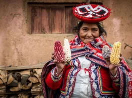Cambio climático y agricultura familiar: el rol clave de las mujeres en el Perú Cambio climático y agricultura familiar: el rol clave de las mujeres en el Perú
