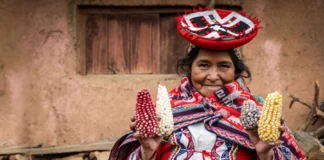 Cambio climático y agricultura familiar: el rol clave de las mujeres en el Perú Cambio climático y agricultura familiar: el rol clave de las mujeres en el Perú