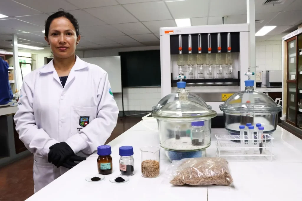 Cascarilla de arroz se convierte en solución para tratar aguas residuales mineras