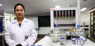 Cascarilla de arroz se convierte en solución para tratar aguas residuales mineras Cascarilla de arroz se convierte en solución para tratar aguas residuales mineras