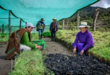 Agricultura familiar recibiría mayor financiamiento internacional en 2026 Agricultura familiar recibiría mayor financiamiento internacional en 2026