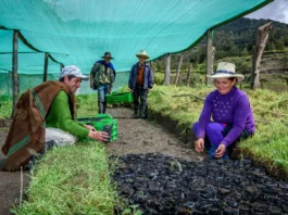 Agricultura familiar recibiría mayor financiamiento internacional en 2026 Agricultura familiar recibiría mayor financiamiento internacional en 2026