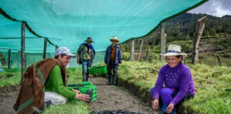 Agricultura familiar recibiría mayor financiamiento internacional en 2026 Agricultura familiar recibiría mayor financiamiento internacional en 2026