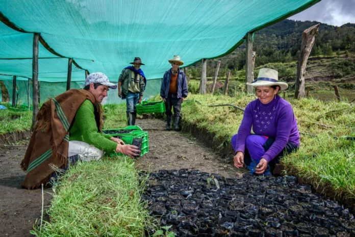 Agricultura familiar recibiría mayor financiamiento internacional en 2026