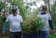 Inician campaña de reforestación en Oxapampa: sembrarán 1,000 árboles nativos en zonas degradadas Inician campaña de reforestación en Oxapampa: sembrarán 1,000 árboles nativos en zonas degradadas