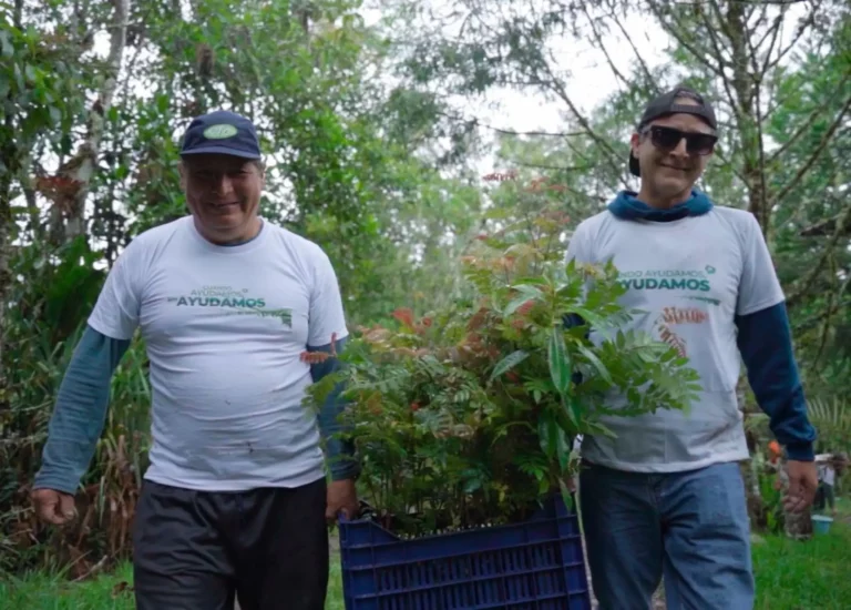 Inician campaña de reforestación en Oxapampa: sembrarán 1,000 árboles nativos en zonas degradadas