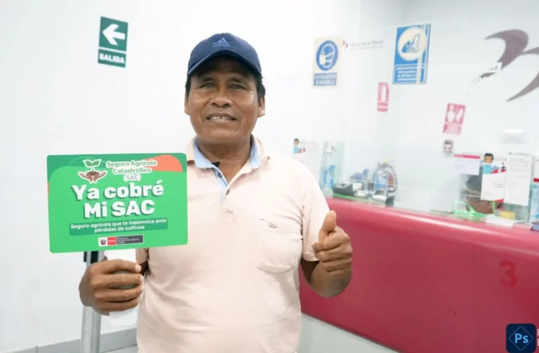 Seguro Agrícola 2025-2026 en Piura incrementa pago a S/1,000 por hectárea: así puedes activarlo