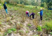 Lluvias en Ica: activan Seguro Agrícola con indemnización de hasta S/1,000 por hectárea Lluvias en Ica: activan Seguro Agrícola con indemnización de hasta S/1,000 por hectárea