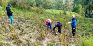 Lluvias en Ica: activan Seguro Agrícola con indemnización de hasta S/1,000 por hectárea Lluvias en Ica: activan Seguro Agrícola con indemnización de hasta S/1,000 por hectárea