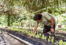 MEF fortalecerá bionegocios amazónicos con sesiones descentralizadas en 2026 MEF fortalecerá bionegocios amazónicos con sesiones descentralizadas en 2026
