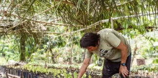 MEF fortalecerá bionegocios amazónicos con sesiones descentralizadas en 2026 MEF fortalecerá bionegocios amazónicos con sesiones descentralizadas en 2026